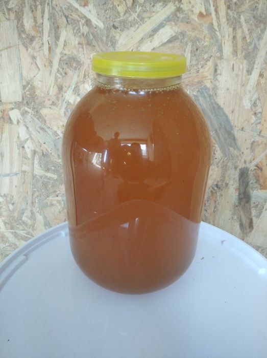 Мёд разнотравие 2025 года