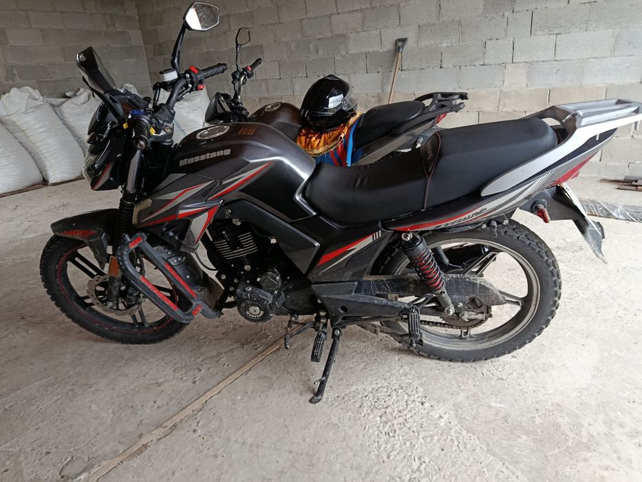 Мустанг фортуна 200