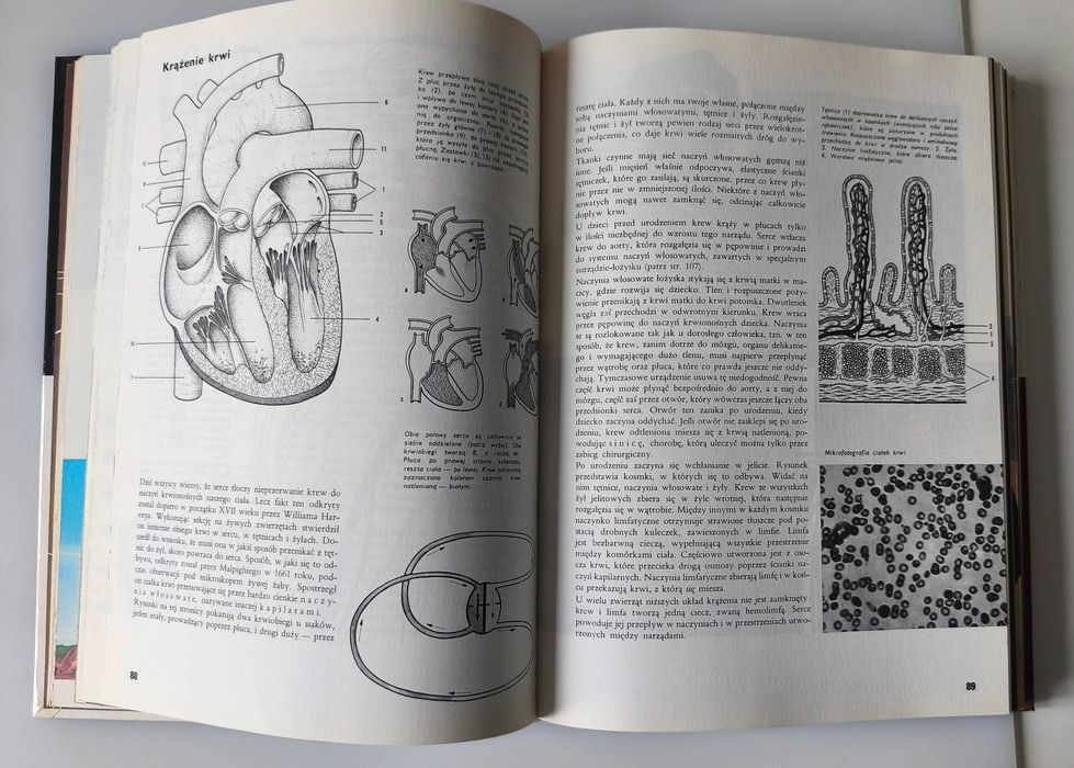 Ziemia, rośliny, zwierzęta – Larousse