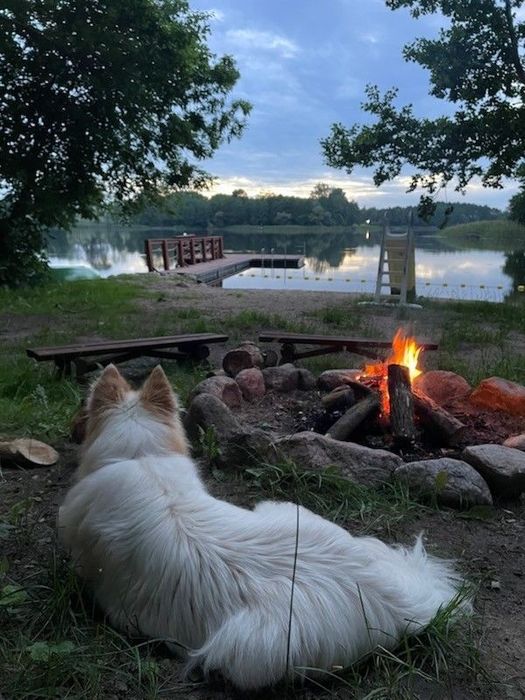 Noclegi nad jeziorem Rydzewo zwierzęta mile widziane.