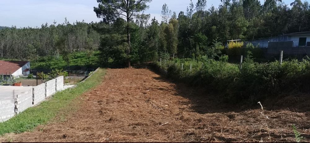Terreno Urbano, Vila Maior