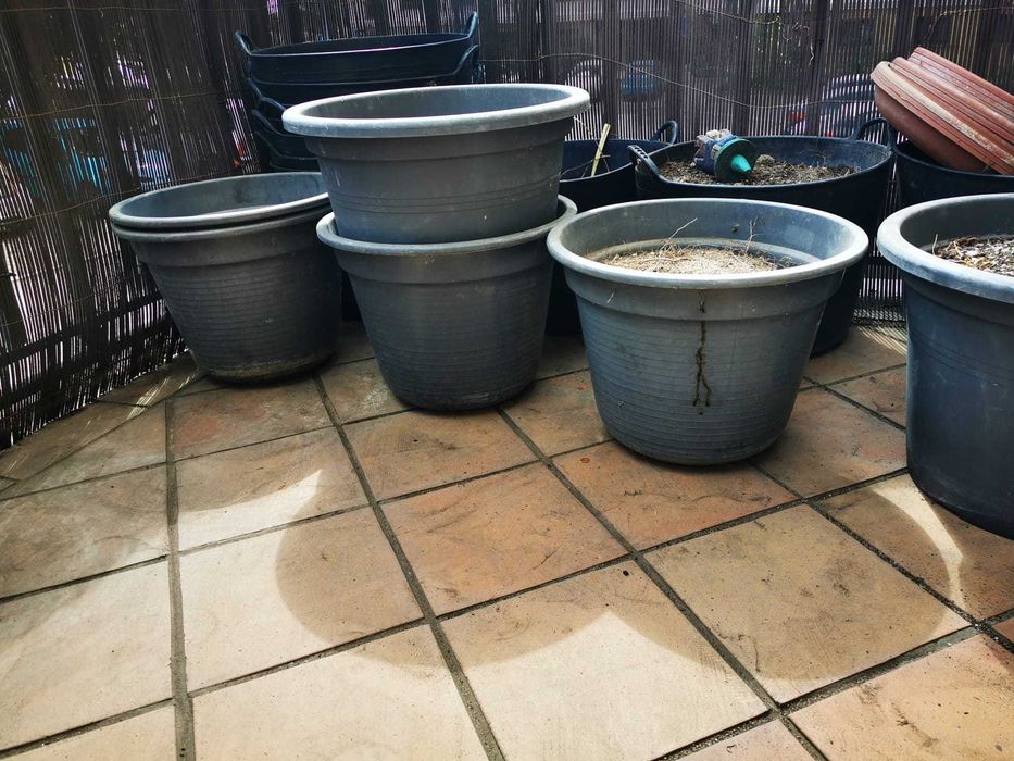 Vasos de plantas todos os tamanhos