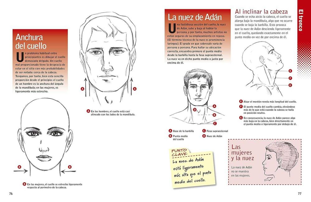 Figúrate! Las proporciones del cuerpo humano - Christopher Hart