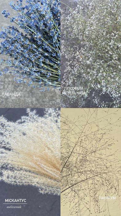 Дідухи. Набір для дідухів. Злаки та сухоцвіти для дідухів