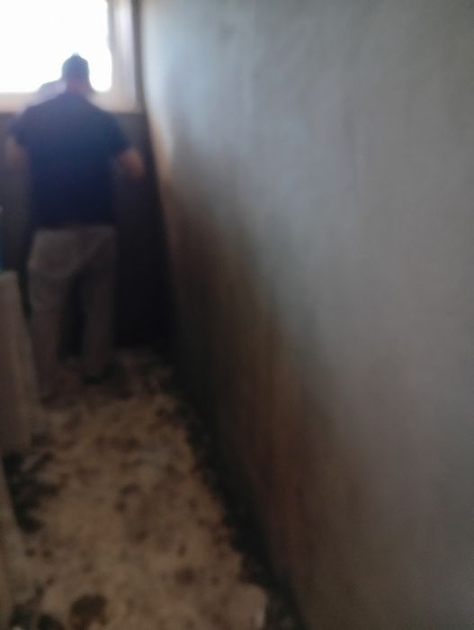 Ofereço mão de obra em troca de animais final de semana