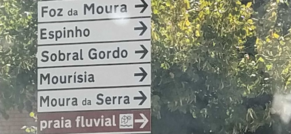 Pinhal com 1450 m2 situado no distrito de Coimbra, Arganil