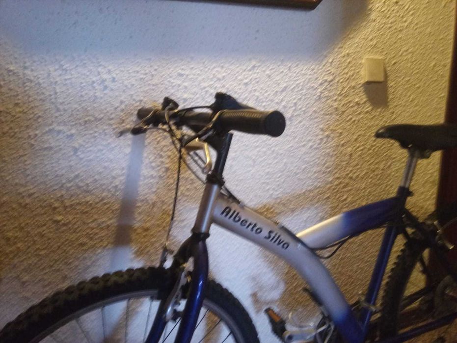 Large bicycle / 6-speed Shimano / Brand: Alberto Silva.64297818465665121