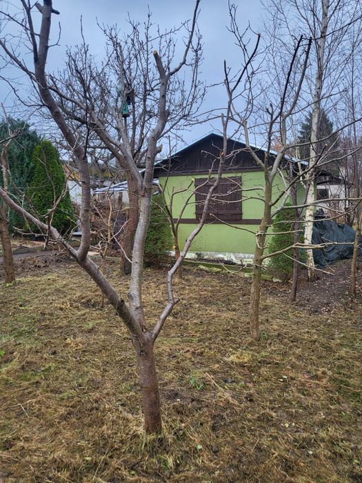 Działka Rodo okazja 300m