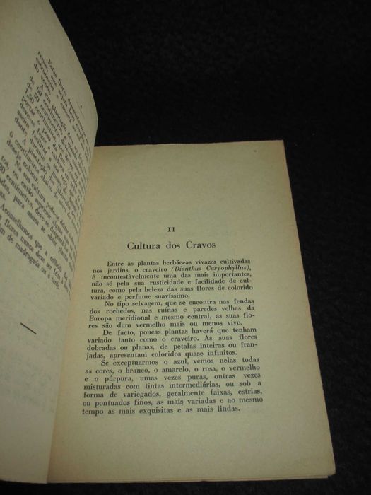 Livro Dálias Cravos Rosas e Crisântemos Júlio de Vasconcelos