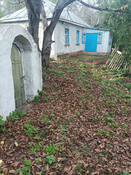 Продам будинок у мальовничому селі