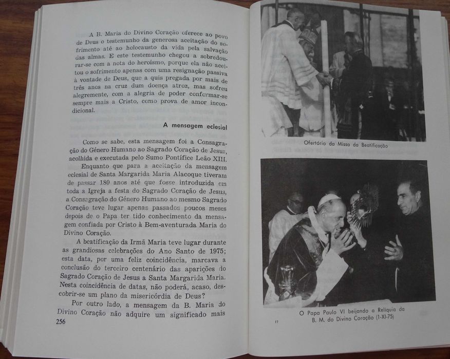 A Bem Aventurada Maria do Divino Coração Droste Zu Vischering