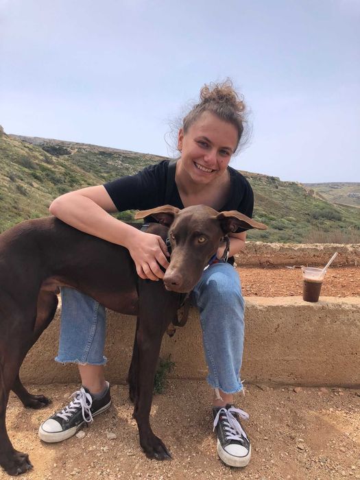 Petsitter, hotel dla psów, opieka nad psem, spacery