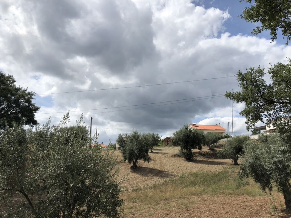 Terreno potencial para turismo rural na chaveira ,Cardigos,Mação