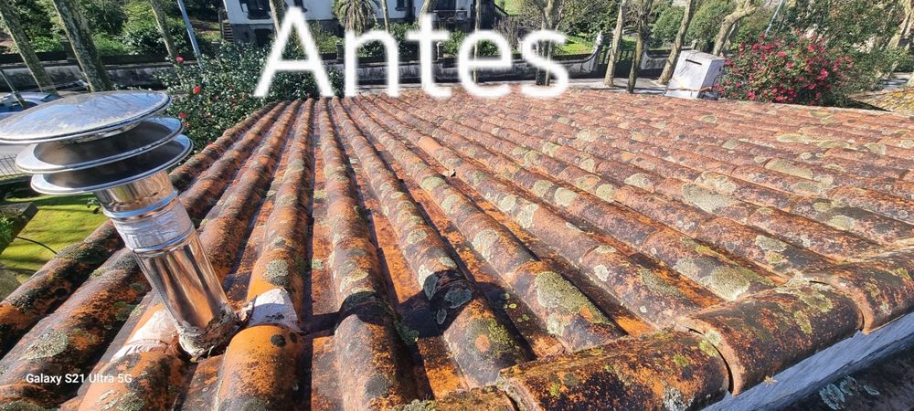 Lavagem, tratamento, rectificação, manutenção e pintura de telhados.