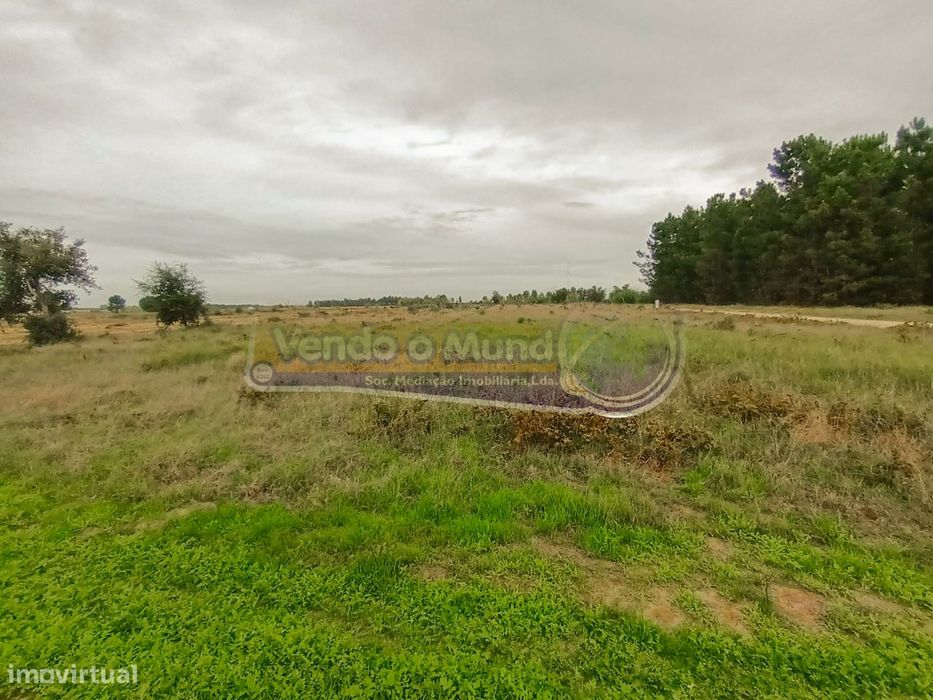 Terreno em Marinhais (M615)