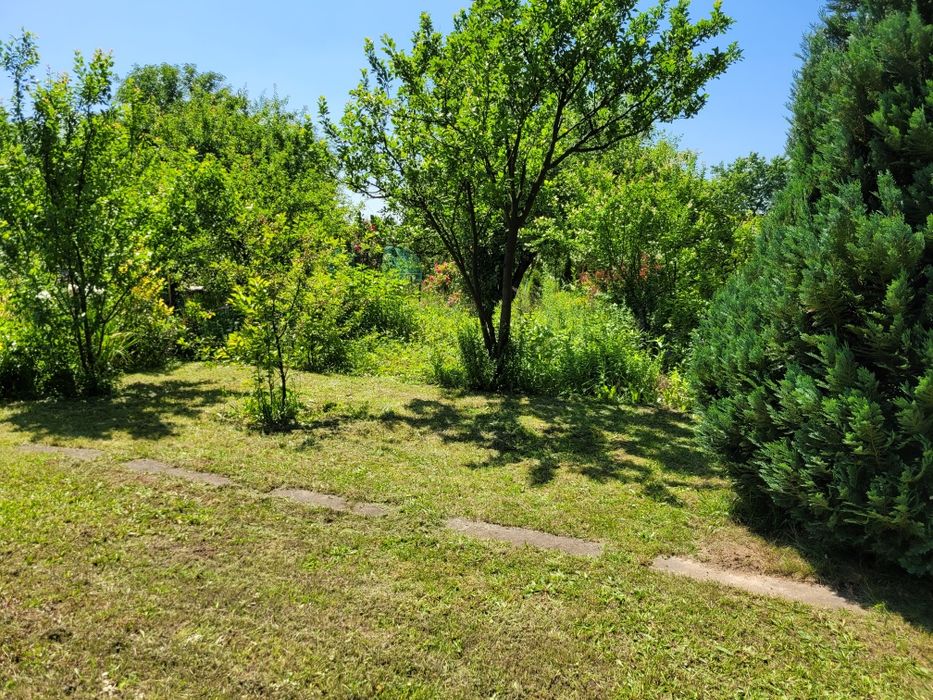 Działka rodo tulipan Legnica 4,80ar