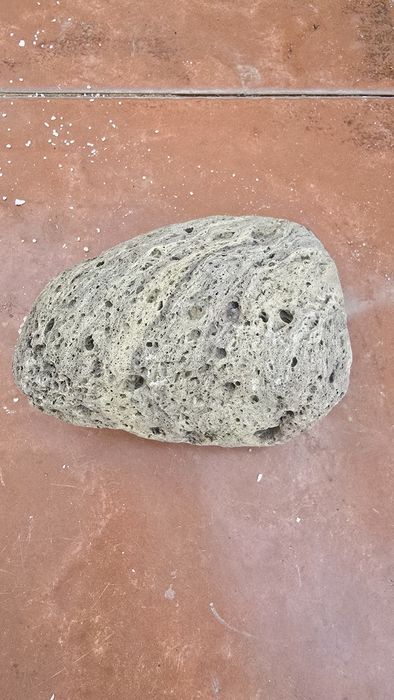 Pedras coralinas e coral morto