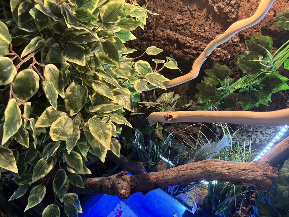 Terrarium tropikalne 100x160x55 cm z akwarium