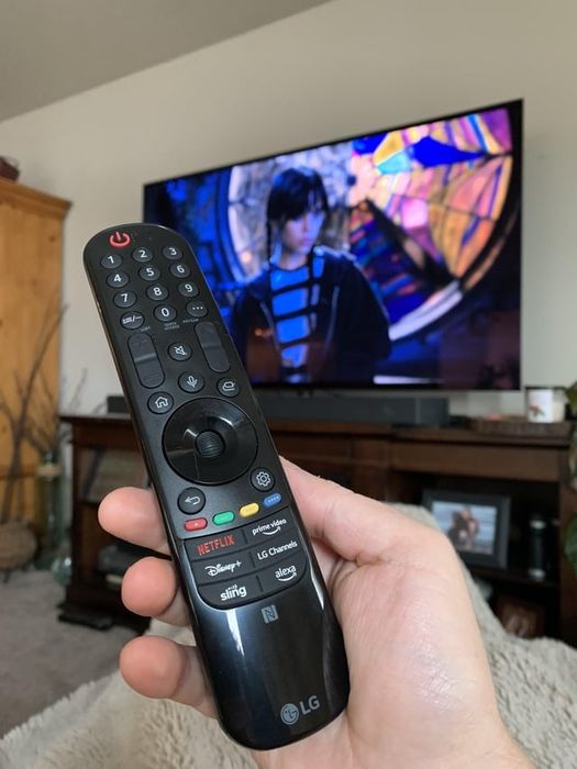Оригінальний пульт LG Magic Remote MR24GA