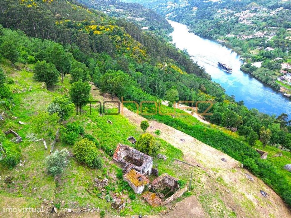 Quintinha com vista fabulosa para o Douro