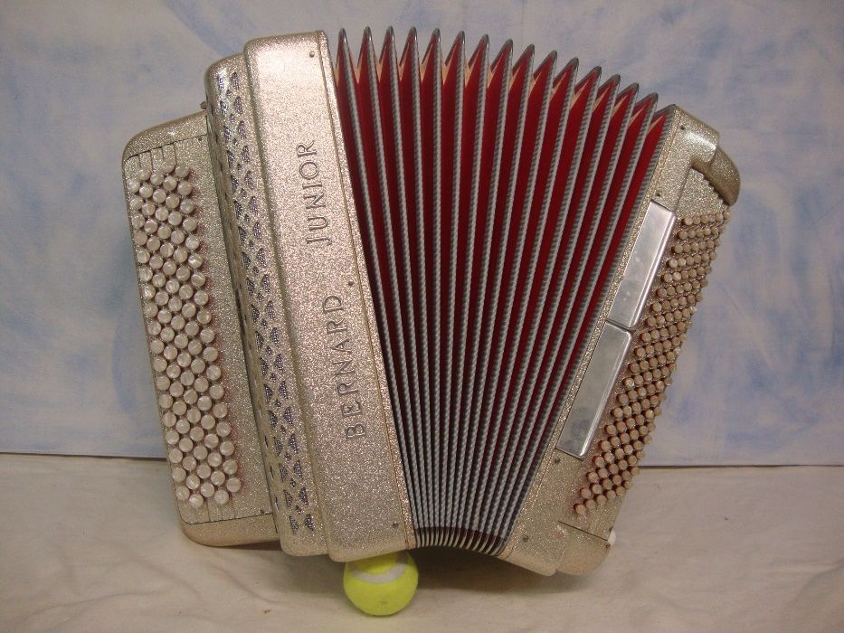 Acordeao* Bernard Junior 4 Voz 120 Baixos N. 16