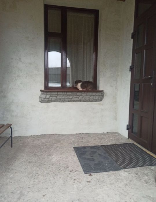 Здається кімната в приватному будинку.