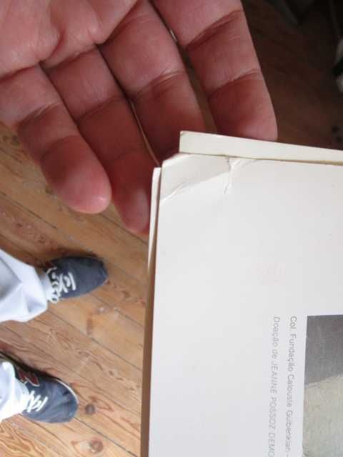 cartaz poster Fundação Gulbenkian Eduardo Viana