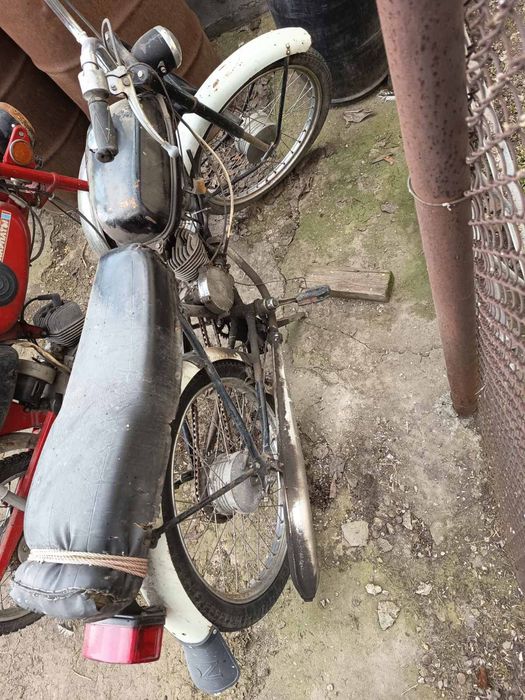 Карпати в рідній краскі