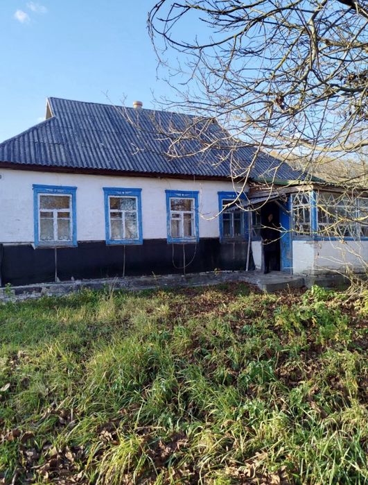Продається будинок в с. Мліїв Черкаської області з ділянкою 47 соток