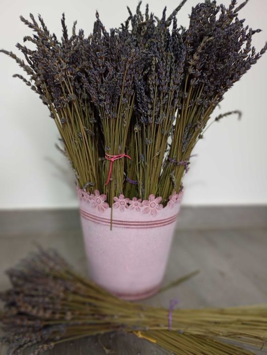 Ramo de lavanda seca natural