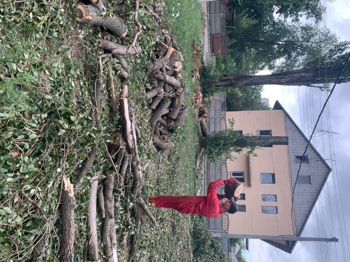 Дрова мягких и твёрдых пород