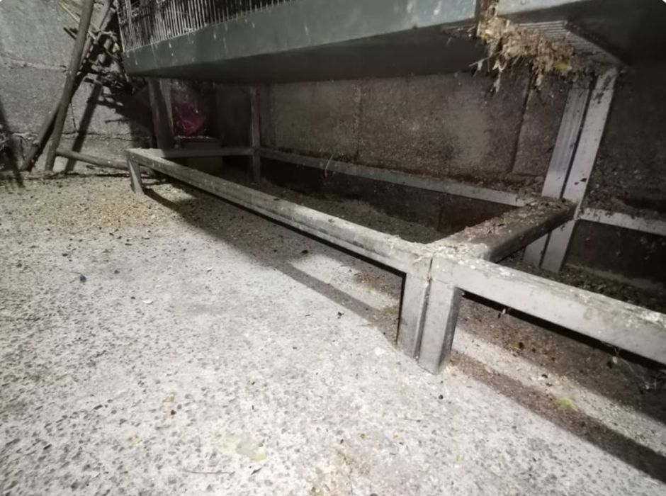 Viveiro/gaiola para passaros