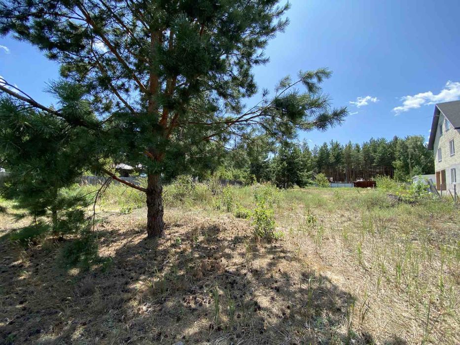 Земельний участок з газом на ділянці, Пилиповичі