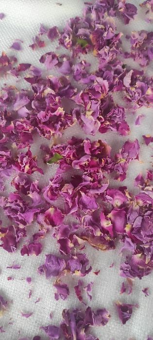 Пелюстки чайної троянди. Є свіжі й сушені