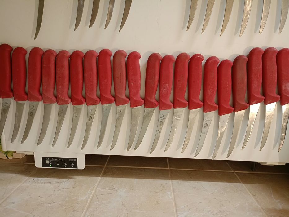 Noże Victorinox masarskie Caribou