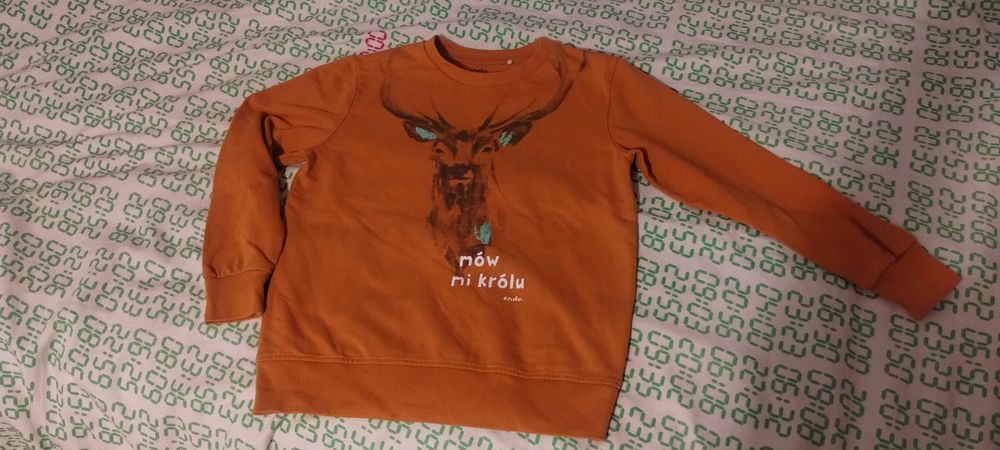 Bluza Endo 134 Mów mi królu