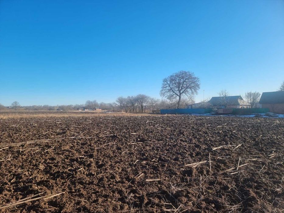 (8) Продам земельну ділянку в Яришівці 2875