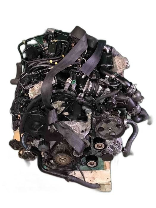 Motor Completo CITROËN BERLINGO / BERLINGO FIRST Caixa/monovolume 1.6 HDI 90 (MB9HX, MC9HX) (66 kW / 90 cv) [07.2005 - 12.2011] 9HX (OEM) | DV6ATED4 (
