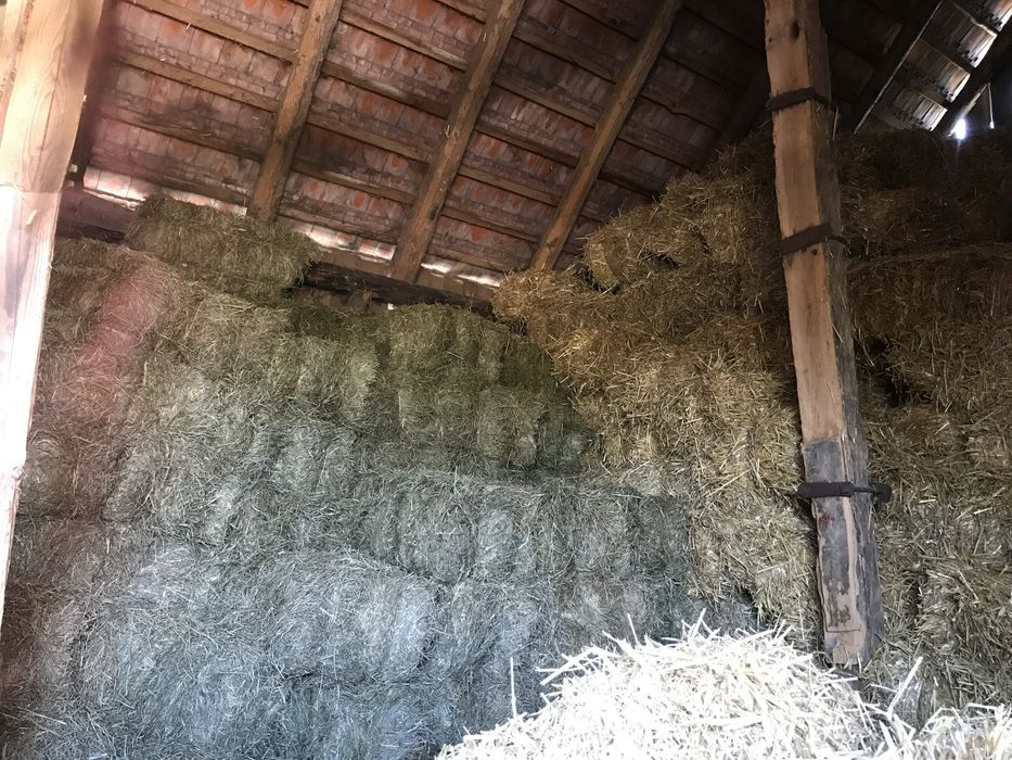 Sprzedam siano i inne
