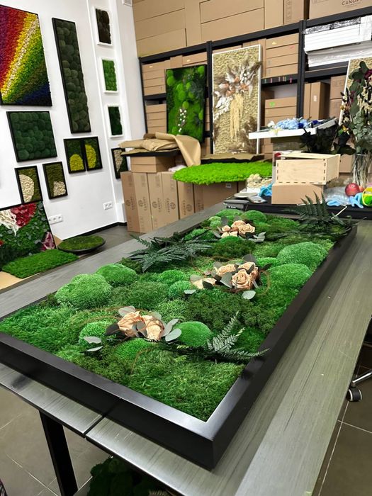 Картина из Мха. Декор из Мха