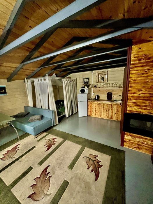 Дом посуточно, чан , баня , джакузи озеро, .лес, відпочинок