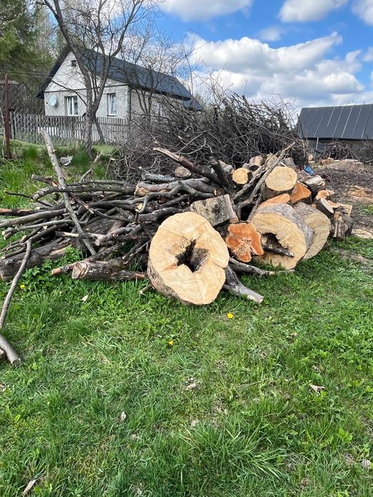 DREWNO OPAŁOWE sezonowane; klonowe oraz dębowe