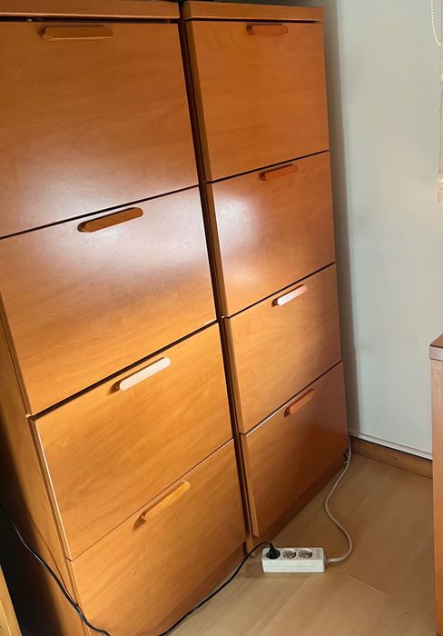 Conjunto Completo: Beliche com 2 colchões, Secretária e 2 Móveis