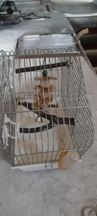 Klatka dla papug