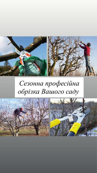 Професійна обрізка саду