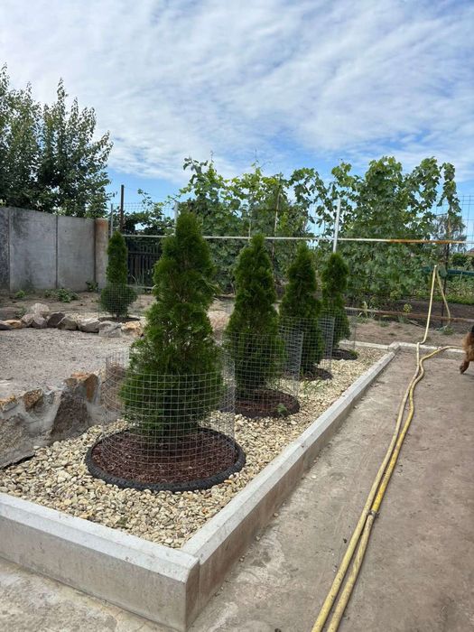 Продам дом Печенеги