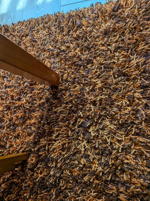 Tapete / carpetes