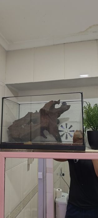 Vendo tudo dois aquários grandes um pequeno e todo equipamento.