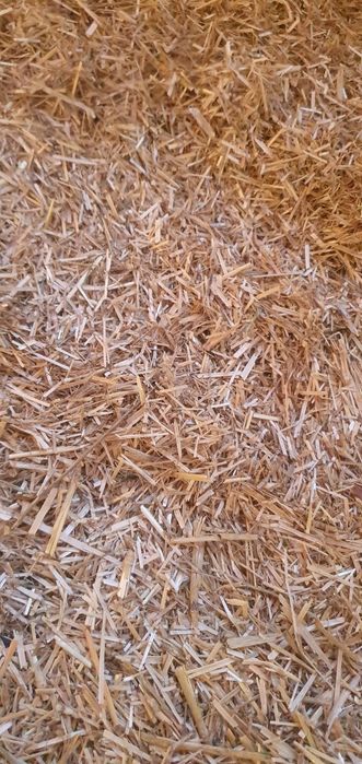 Słoma rozdrobniona, ściółka