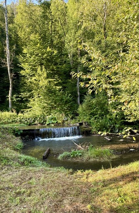 Будинок для Відпочинку Закарпаття, м. Свалява.